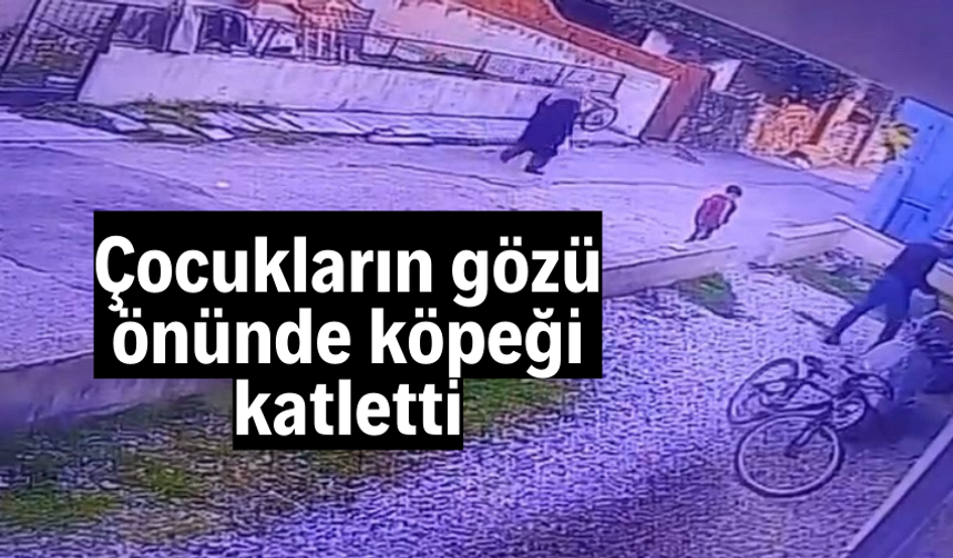 Çocukların gözü önünde köpeği katletti