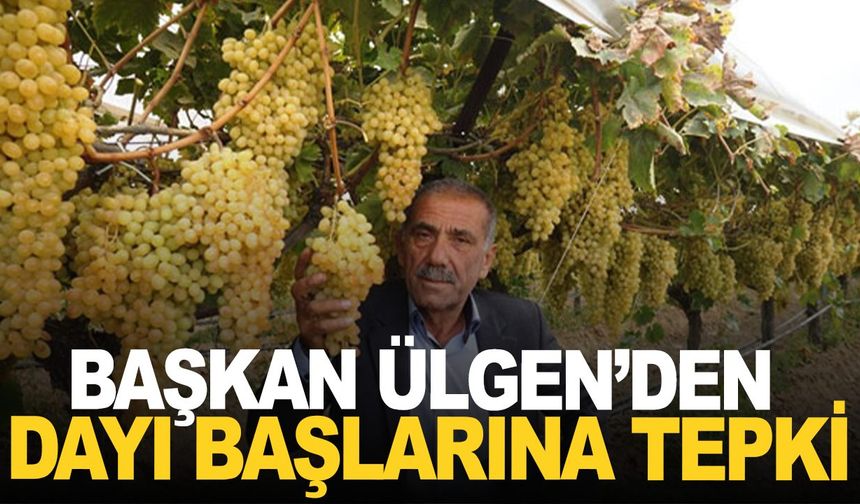 Ziraat Odası Başkanından dayıbaşlarına sert tepki