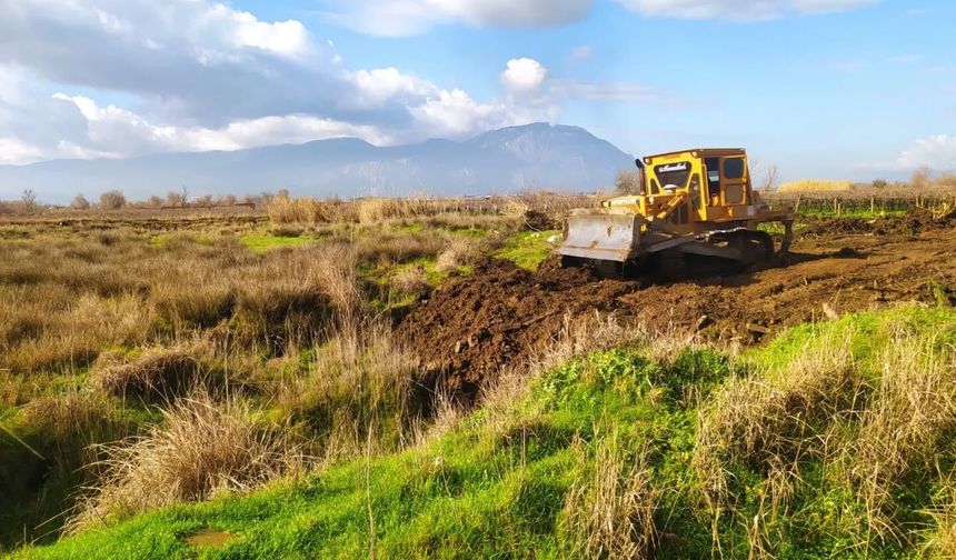 Manisa’da Dere Boyuna 600 Fidanlık Yeşil Kuşak