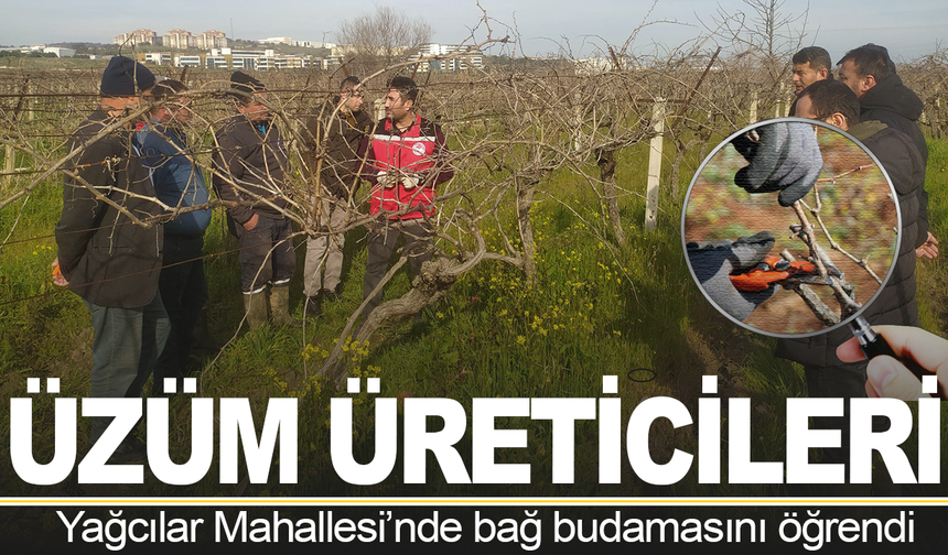 Manisa Tarım İl Müdürlüğü'nden Yağcılar'da budama kursu