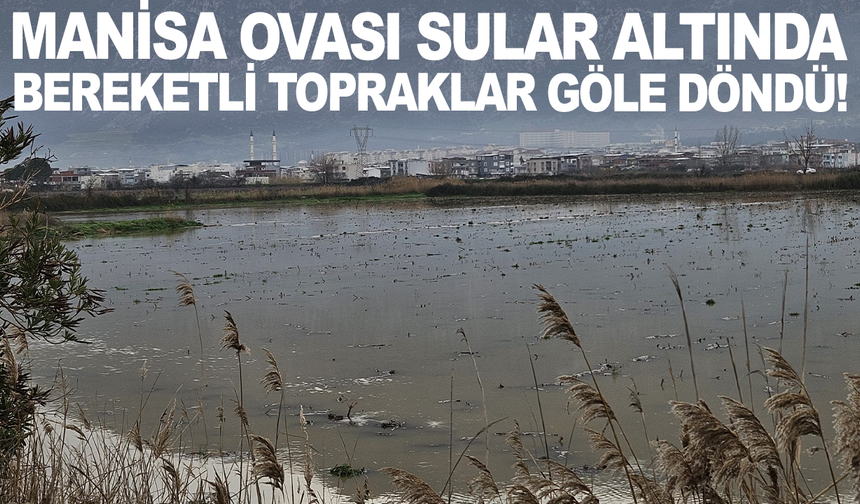 MANİSA OVASI SULAR ALTINDA: BEREKETLİ TOPRAKLAR GÖLE DÖNDÜ!