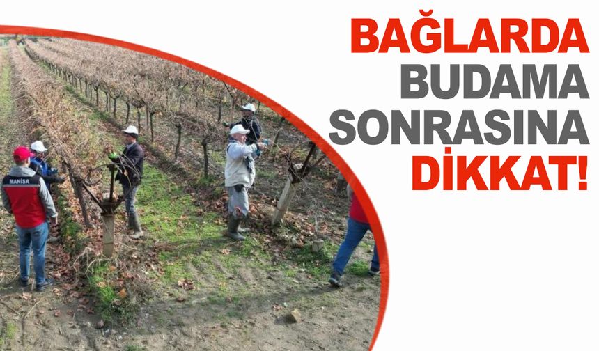 Manisa’da Bağlara Kış Mücadelesi Uyarısı