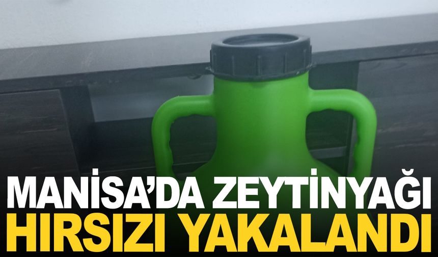 Manisa’da zeytinyağı hırsızı yakalandı
