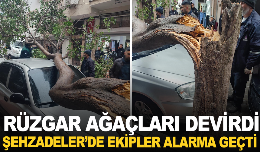 Manisa’da fırtına etkili oldu: Tehlike oluşturan ağaçlara müdahale