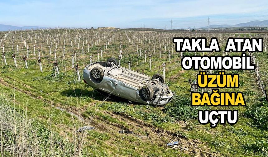 Manisa'da takla atan otomobil, üzüm bağına uçtu