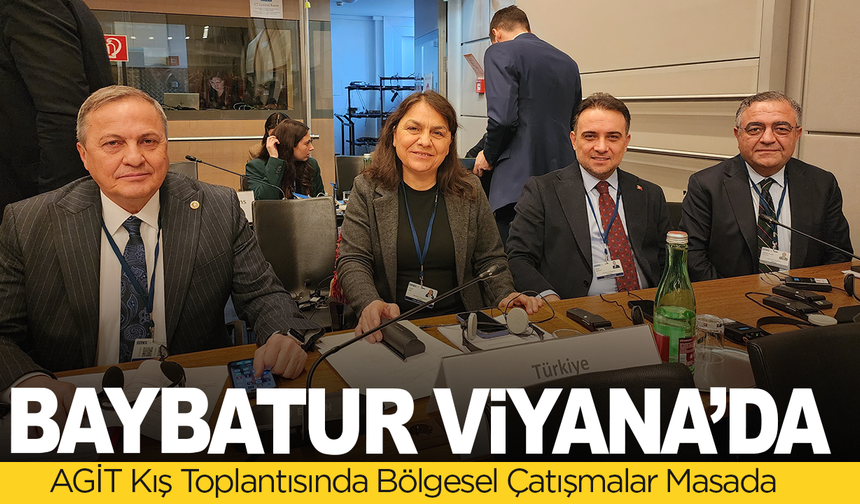 Baybatur, AGİT PA Kış Toplantısı İçin Viyana’da!