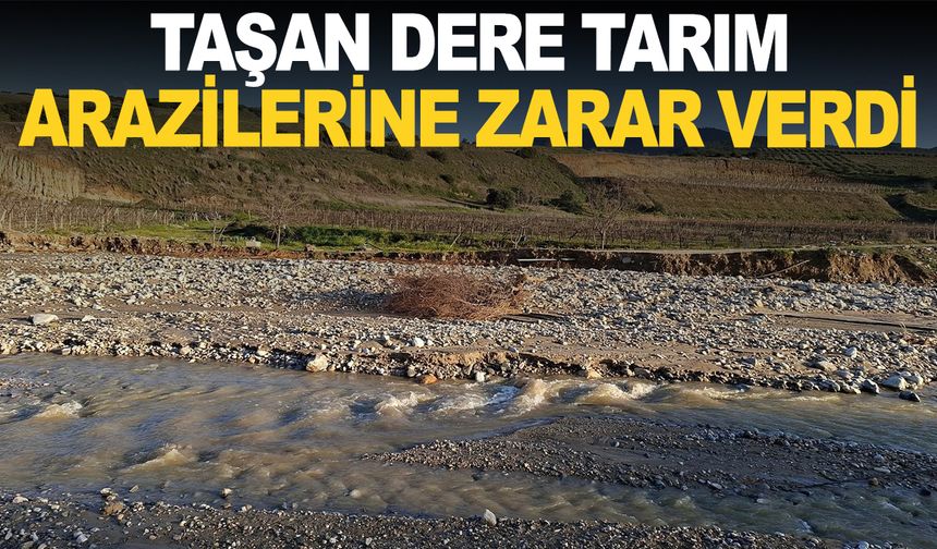 Ziyanlar’da dere taştı, tarım arazileri zarar gördü