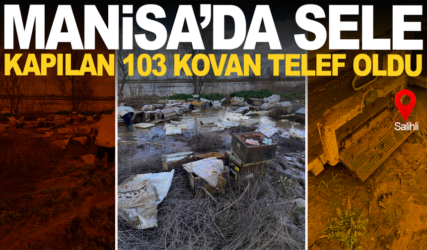 Manisa'da sele kapılan yüzlerce arı telef oldu