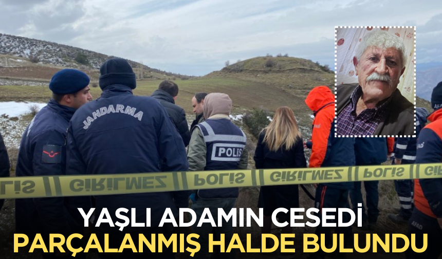 Yaşlı adamın cesedi parçalanmış halde bulundu