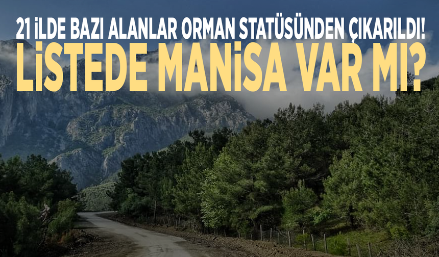 21 ilde bazı alanlar orman statüsünden çıkarıldı! Listede Manisa var mı?