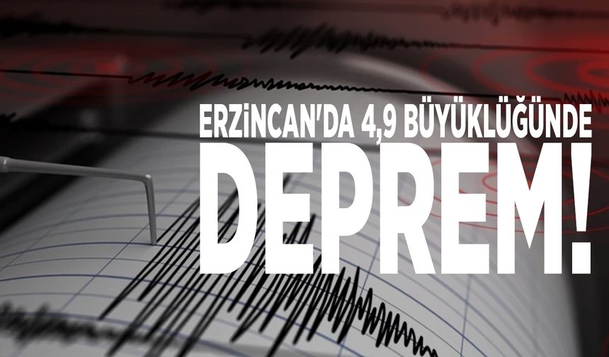 Erzincan'da 4,9'luk deprem!