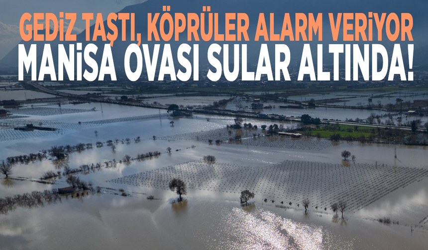 Gediz taştı, köprüler alarm veriyor: Manisa Ovası sular altında!