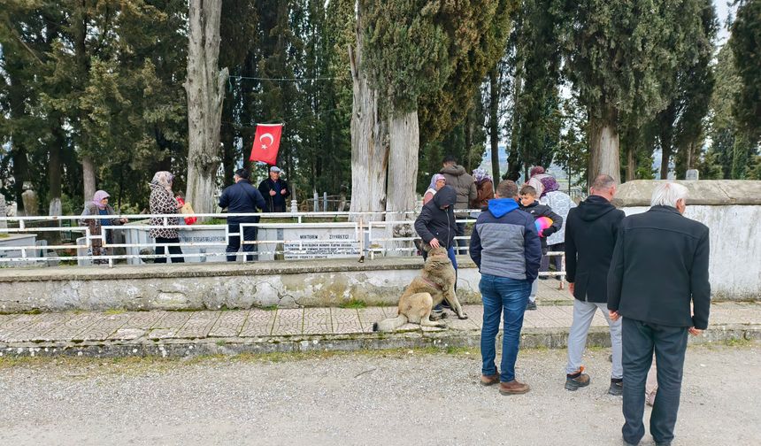 Arefe günü mezarlıklarda hüzün ve dua bir aradaydı