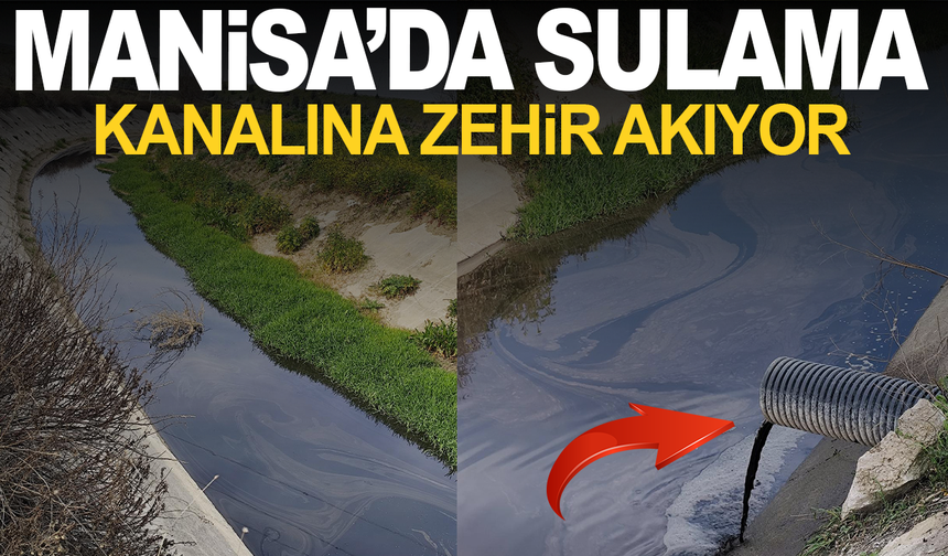Manisa'da sulama kanalına zehir akıyor: Vatandaşın yardım çığlığı