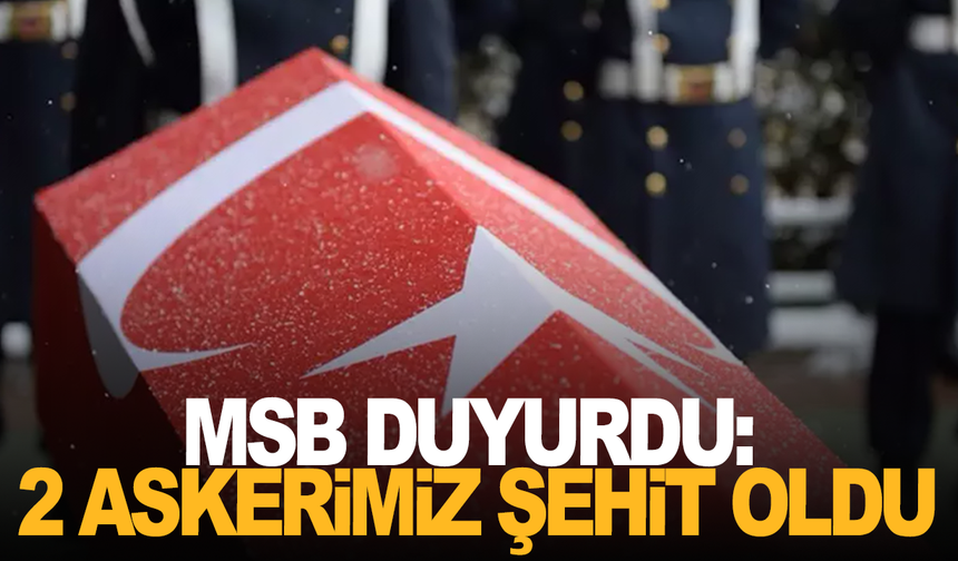 MSB duyurdu: 2 askerimiz şehit oldu