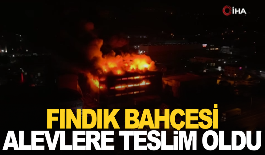 Trabzon’da fındık fabrikasındaki yangına müdahale devam ediyor