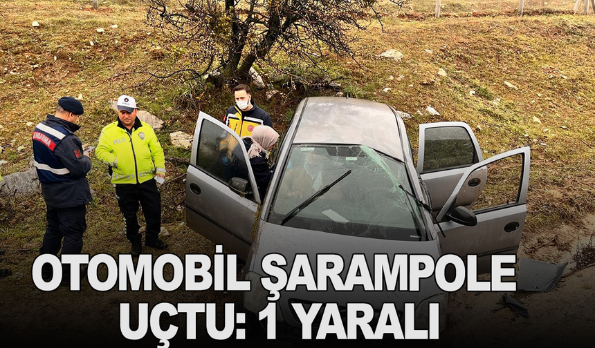 Otomobil şarampole uçtu: 1 yaralı