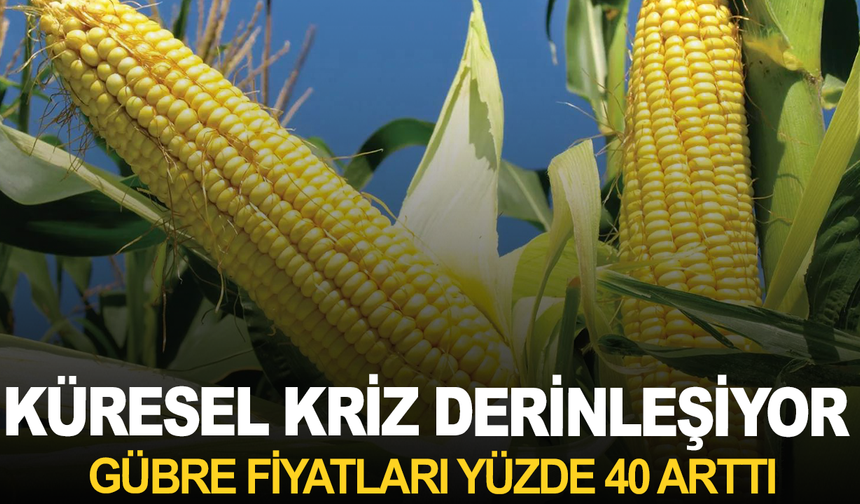 Küresel Kriz Derinleşiyor: Gübre Fiyatları %40 Arttı