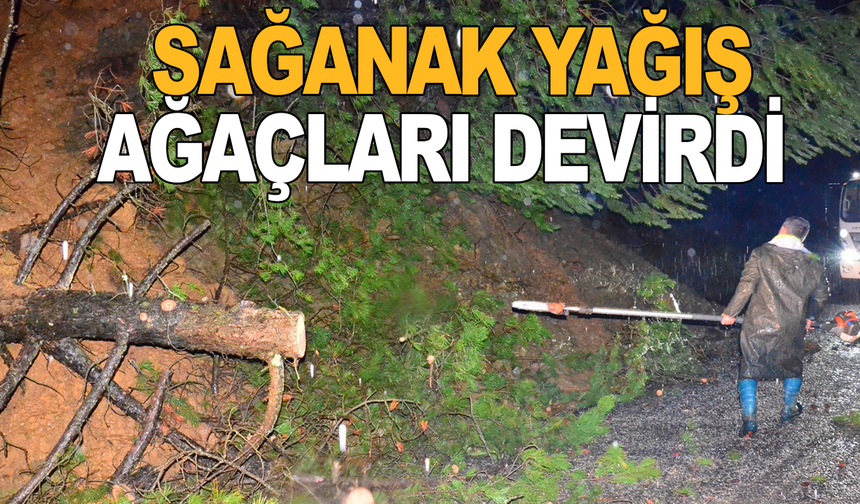 Manisa'da sağanak yağış ağaçları devirdi