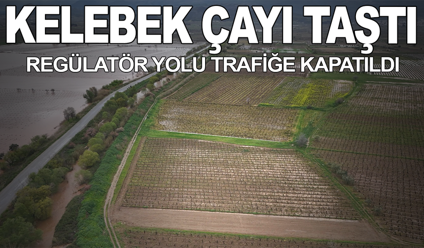 Kelebek Çayı Taştı, Regülatör Yolu Trafiğe Kapatıldı