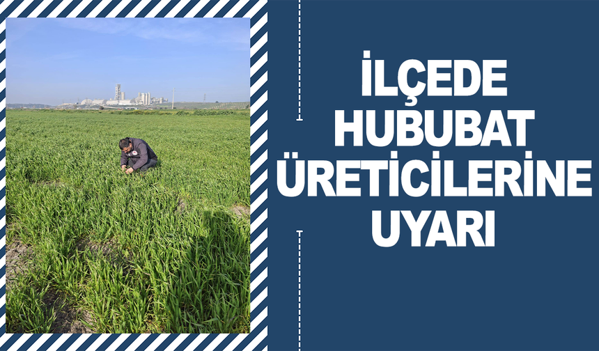 İlçede Hububat Üreticilerine Hastalık Uyarısı