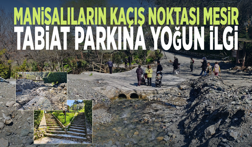 Manisalıların kaçış noktası Mesir... Tabiat parkına yoğun ilgi