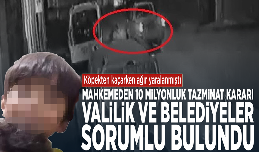 Köpekten kaçarken ağır yaralanmıştı Mahkemeden 10 milyonluk tazminat kararı: Valilik ve belediyeler sorumlu bulundu