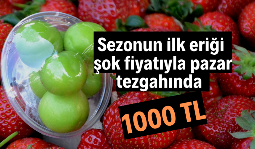 Sezonun ilk eriği şok fiyatıyla pazar tezgahında
