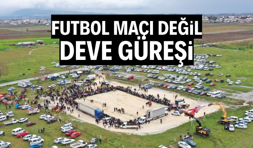 Deve güreşlerine binlerce vatandaş akın etti