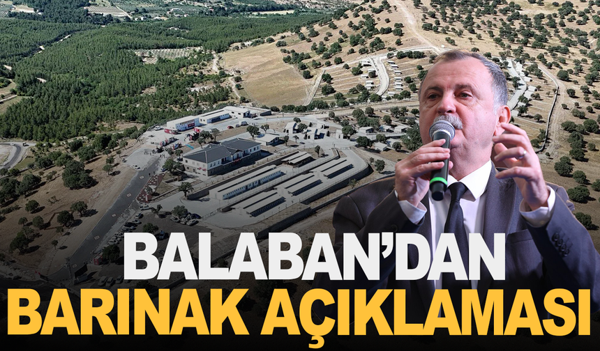 Balaban’dan Sokak Hayvanları Açıklaması