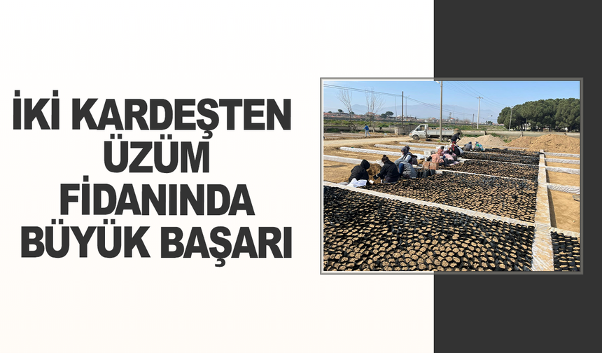 İki kardeşten üzüm fidanında büyük başarı