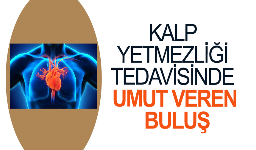 Fransız bilim insanlarından kalp yetmezliği tedavisinde umut veren buluş