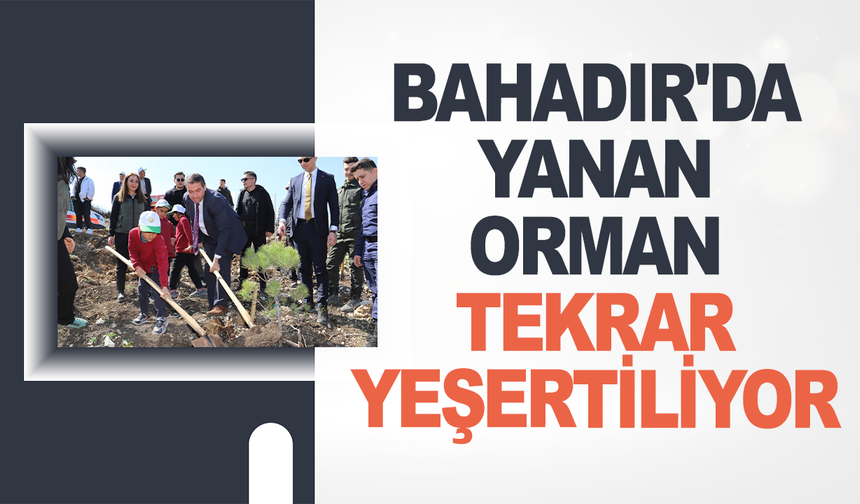BAHADIR'DA YANAN ORMAN TEKRAR YEŞERTİLİYOR