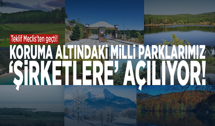 Teklif Meclis'ten geçti! Milli parklarımız 'şirketlere' açılıyor
