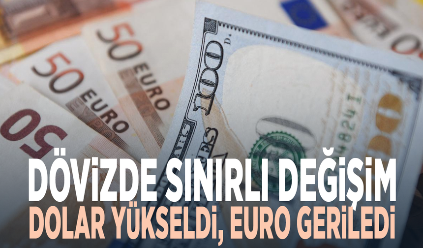 Dövizde sınırlı değişim: Dolar yükseldi, euro geriledi