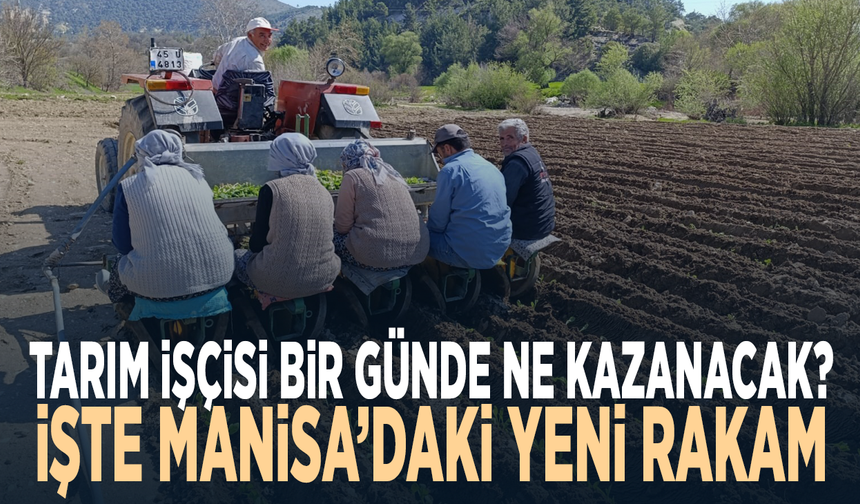 Tarım işçisi bir günde ne kazanacak? İşte Manisa’daki yeni rakam