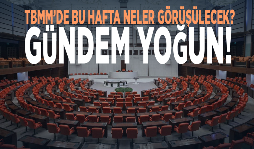 TBMM’de bu hafta neler görüşülecek? Gündem yoğun