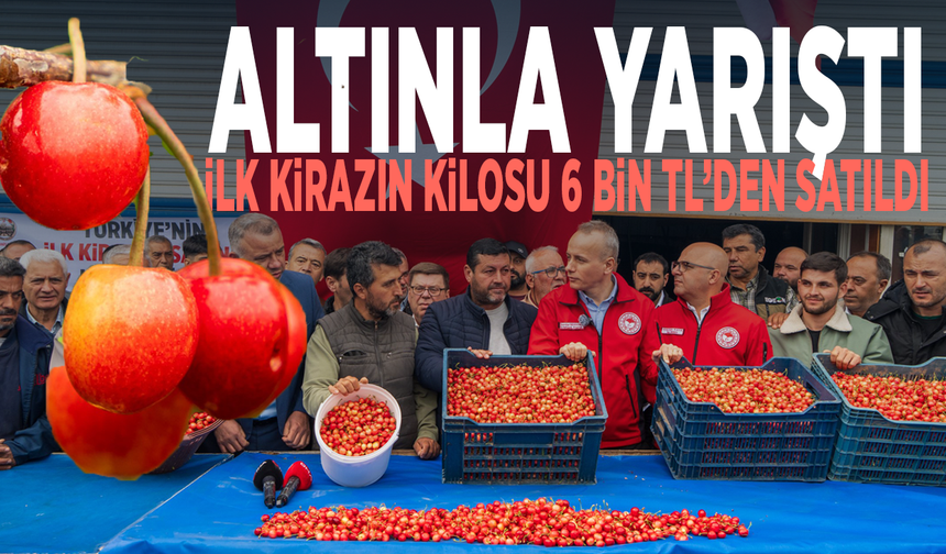 Altınla yarıştı... İlk kirazın kilosu 6 bin TL’den satıldı