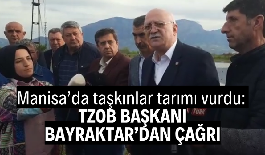 Manisa’da taşkınlar tarımı vurdu: TZOB Başkanı Bayraktar'dan açıklama