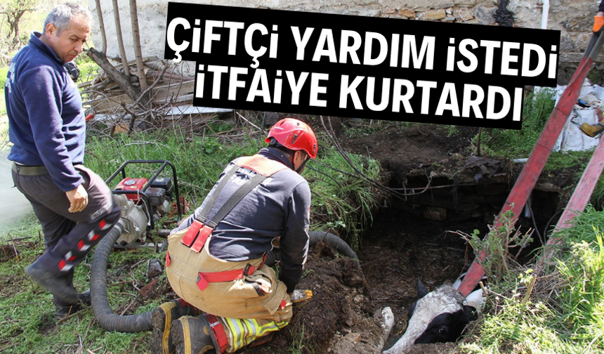 Çiftçi yardım istedi, itfaiye kurtardı