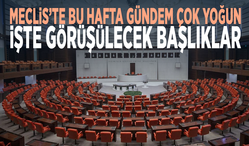 Meclis’te bu hafta gündem çok yoğun... İşte görüşülecek başlıklar
