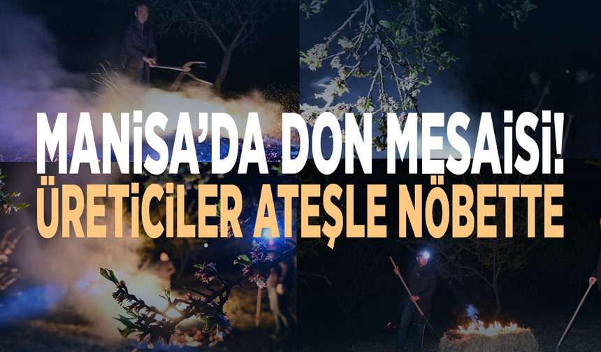 Manisa’da don mesaisi! Üreticiler ateşle nöbette