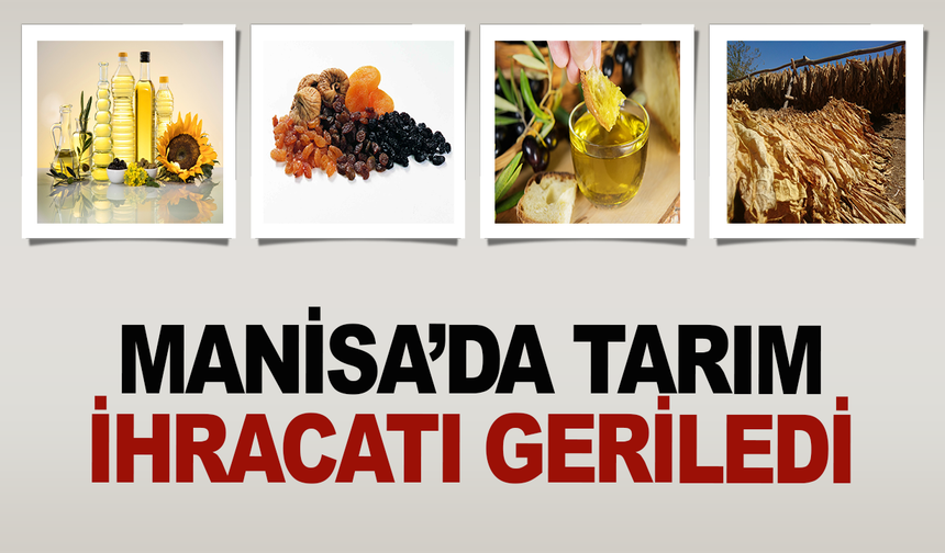 Manisa'da tarım sektörü düşüşte