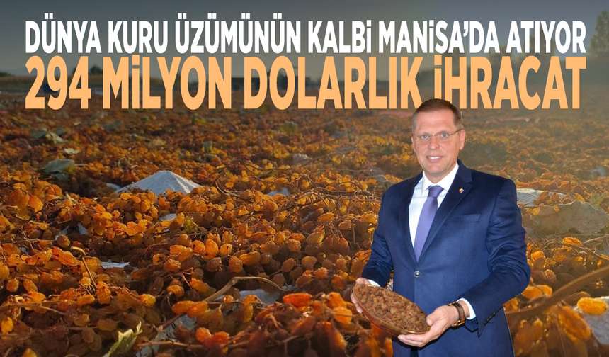Dünya kuru üzümünün kalbi Manisa’da atıyor...  294 milyon dolarlık ihracat