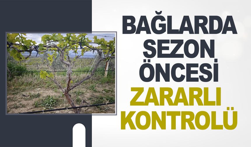 Alaşehir’de Bağlarda Sezon Öncesi Zararlı Kontrolleri Yapıldı
