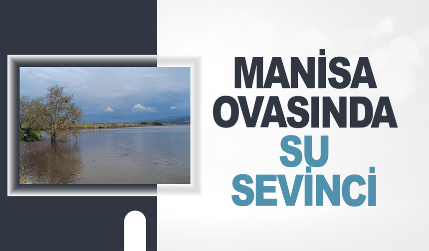 Manisa ovasında su sevinci