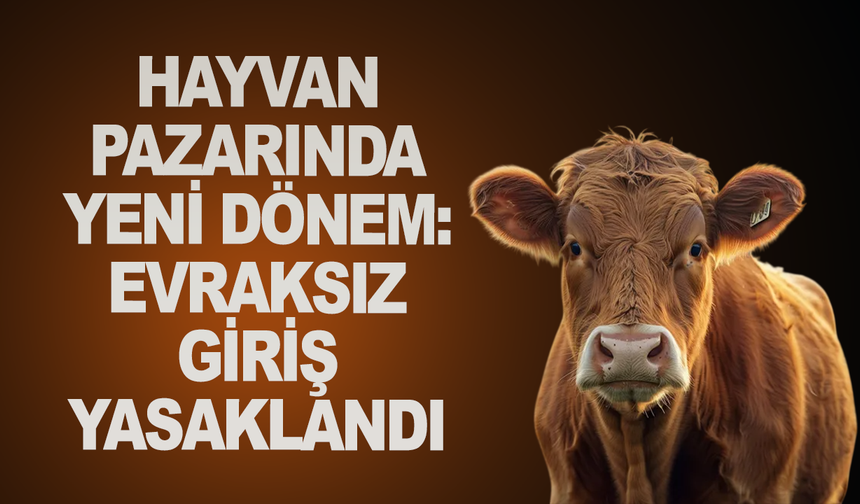 Salihli Hayvan Pazarına Giriş Şartları Açıklandı