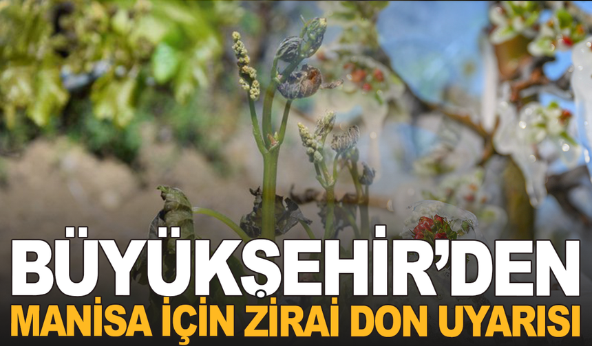 Zirai Don Alarmı: Manisa İçin Kritik Uyarı