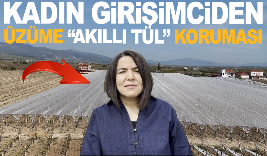 Üzümde Kayıp Azalıyor: Tül Sistemiyle Yeni Dönem