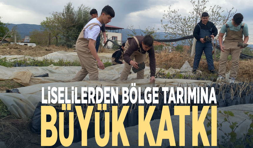 Liselilerden bölge tarımına büyük katkı